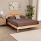 Baxton Studio Denton Japandi Natural Brown Finished Wood Queen Size Platform Bed 232-13248-ZORO - alternate 5